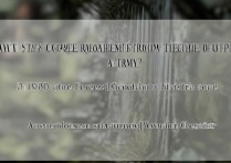 陆军特种兵作战学院分数线是多少？2026 年录取分数及报考条件详解
