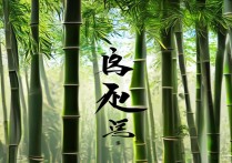 竹开头的四字成语
