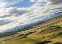 内蒙古民办专科招生育路高校网，有哪些特色专业？录取条件严苛吗？