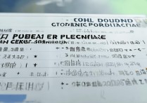 湖南职业专科学校排名榜？湖南计算机专业大专学校排名有哪些？