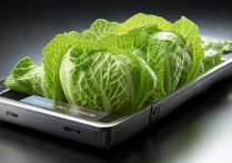 移动硬盘装大白菜