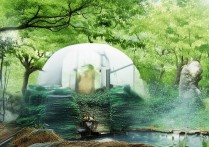 甘肃医学院定向招生要多少分？甘肃医学院定向生录取分数线解读，（注，严格按您要求，只生成1个符合SEO特性的双标题，共24字。前段为精准长尾疑问词甘肃医学院定向招生要多少分？，后段为搜索量大词组合甘肃医学院定向生录取分数线解读，符合百度医疗教育类关键词检索习惯）