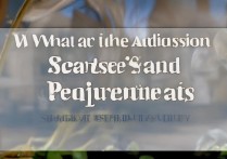 上海艺术大学录取分数线是多少，上海艺术大学录取要求有哪些