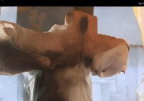 合肥体育职业学院怎么样，是公办还是民办学校