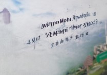 重庆大学录取状态如何查询？2026 重庆大学录取状态查询入口在哪