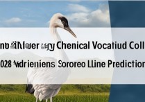 鹤壁能源化工职业学院分数线多少？2026录取分数线预测