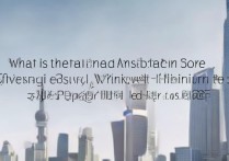 上海电机大学录取线是多少，2026年最低多少分能考上？