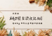 小满手抄报