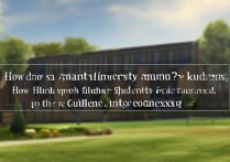 体育大学怎样录取？体育生考大学需要多少分