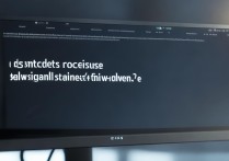 系统不显示固态硬盘