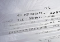西华大学录取位次是多少？西华大学历年录取分数线排名查询