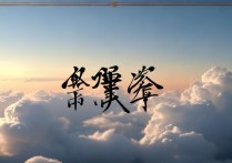 天的成语