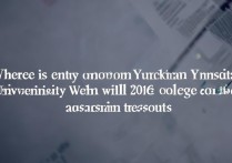 云南大学录取结果查询入口在哪？2026高考录取结果什么时候公布