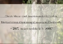 景德镇陶瓷大学录取分数线是多少，2017年多少分能上？