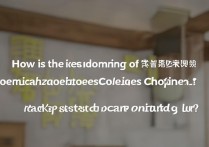 成都专科学校宿舍排名如何？成都排名最好的专科学校有哪些？