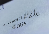 大学录取咋查？2026高考录取结果查询入口及方法