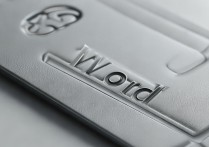 word安装包