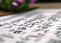 二开头的四字成语