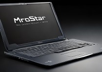 微星gl62m加固态