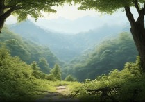 避实就虚成语