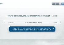 中德大学录取系统怎么查？2026录取结果查询入口