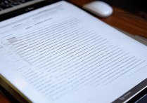 wps的word文档