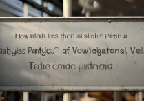 枫叶职业学院学费多少钱一年，枫叶职业学院收费标准详情