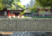 成都中医药大学提前批分数线是多少？提前批录取最低分是多少