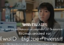 外交大学不录取怎么办？揭秘被拒原因与补救方法