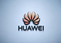 华为录取上海大学