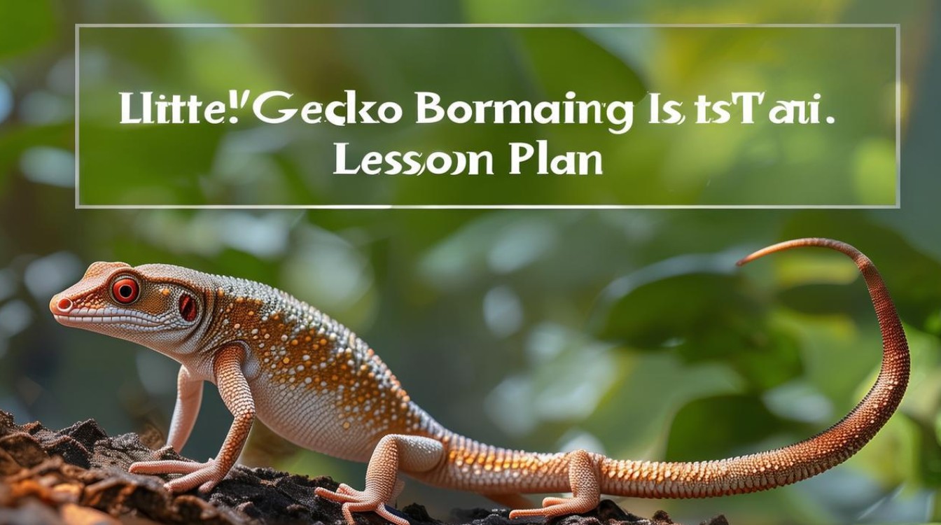 小壁虎借尾巴教案