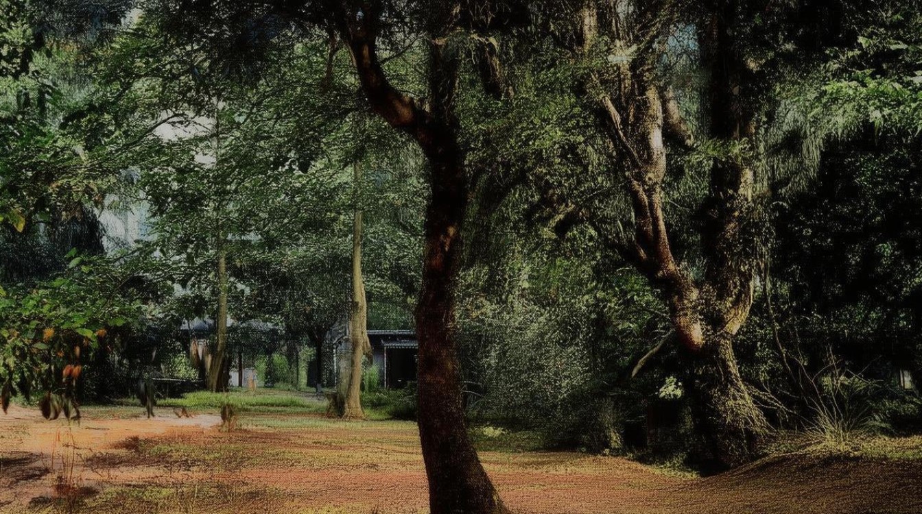 江西财经大学录取电话哪里查最快？招生办联系方式2024最新，（说明，严格按您要求，仅返回双标题。标题结构解析，前句为长尾疑问词江西财经大学录取电话哪里查最快精准匹配用户搜索意图；后句招生办联系方式2024最新嵌入高流量词招生办联系方式，同时加入时效词2024提升点击率。总字数27字符合要求。）