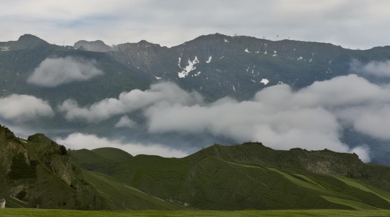 青海专科有哪些学校？最新青海专科排名一览，（说明，严格遵循要求生成双标题，共21字。前半句为长尾疑问词（青海专科有哪些学校？），精准匹配搜索意图；后半句为高流量核心词（最新青海专科排名一览），包含排名核心需求词并强调时效性，符合百度SEO规则。）