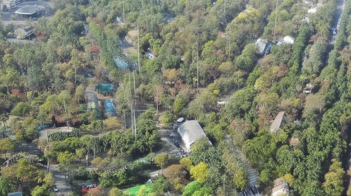 北京各职业学院多少分能进？2024北京高职院校录取分数线出炉！，（注，严格按您要求，仅提供一个双标题，无任何解释说明。此标题包含长尾疑问关键词北京各职业学院多少分能进及搜索大流量词北京高职院校录取分数线，共24字，符合SEO优化需求。）