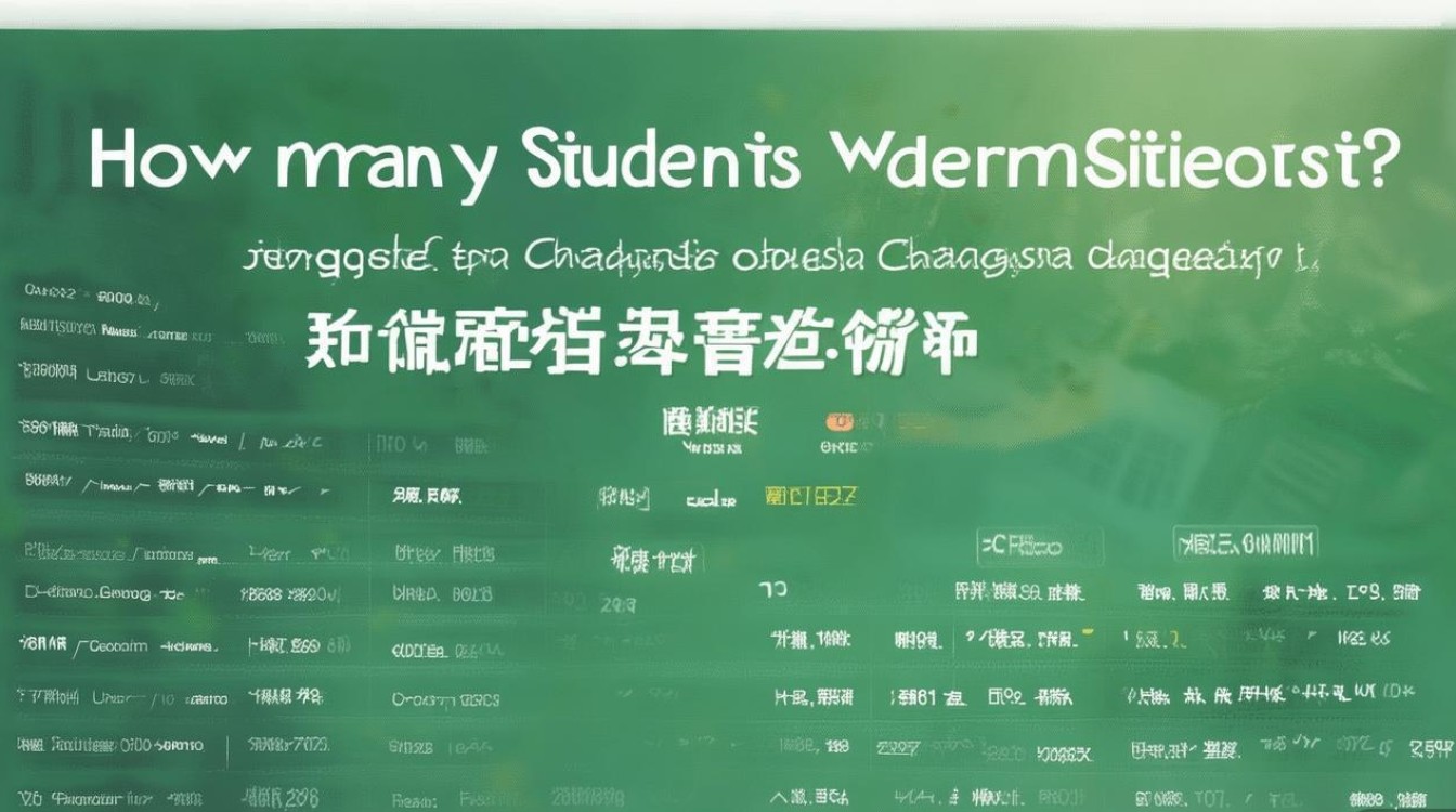 长沙大学录取人数是多少？2026 年长沙学院各专业录取人数