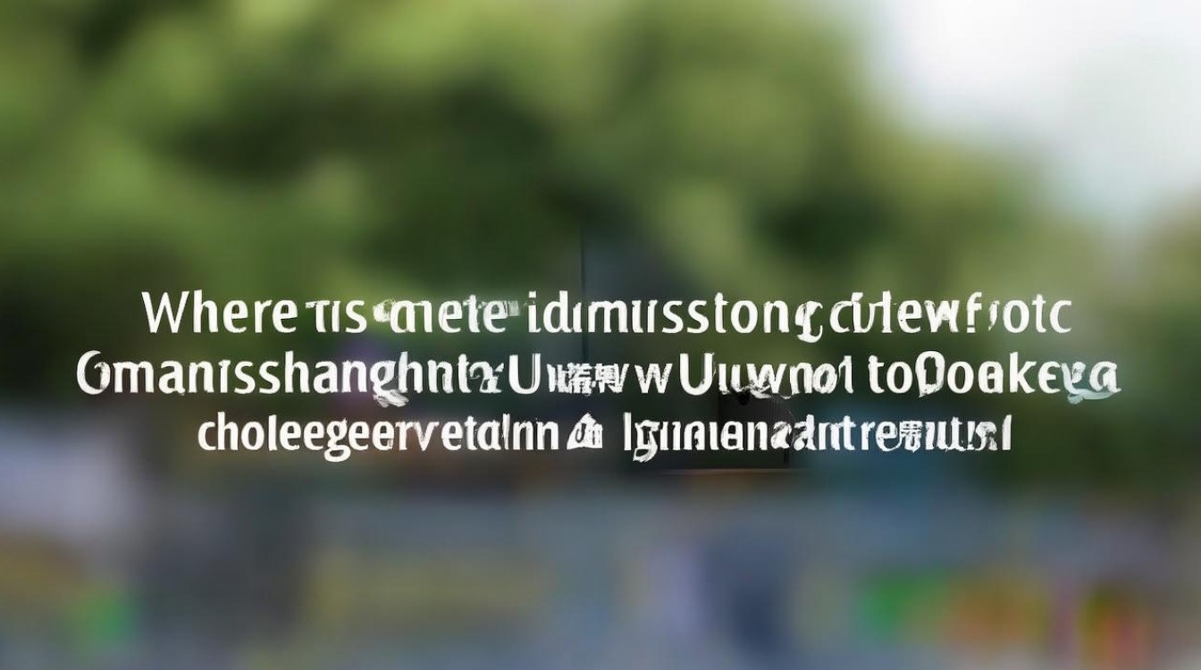 长沙大学录取查询入口在哪？长沙大学高考录取结果查询时间方法