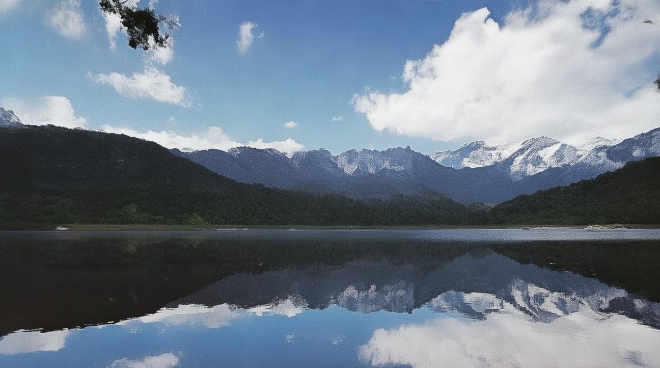 沈阳医学院麻醉学分数线是多少？沈医麻醉专业录取分高吗
